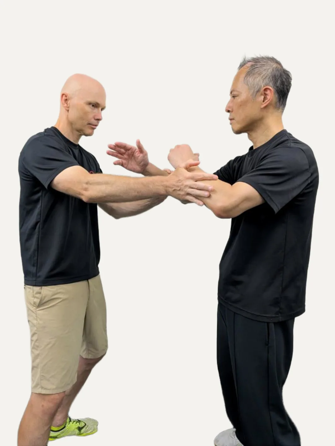 J's Gym private Wing Chun instruction